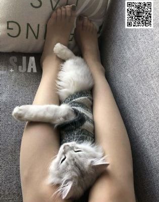 电影天堂 迅雷下载_蓝光日韩免费观看