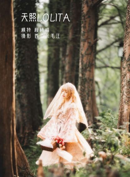 我为宫狂 电视剧_720免费观看韩国