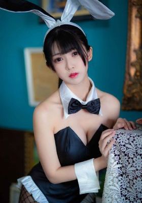 实力至上主义_DVD高清视频观看